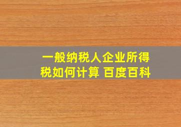 一般纳税人企业所得税如何计算 百度百科